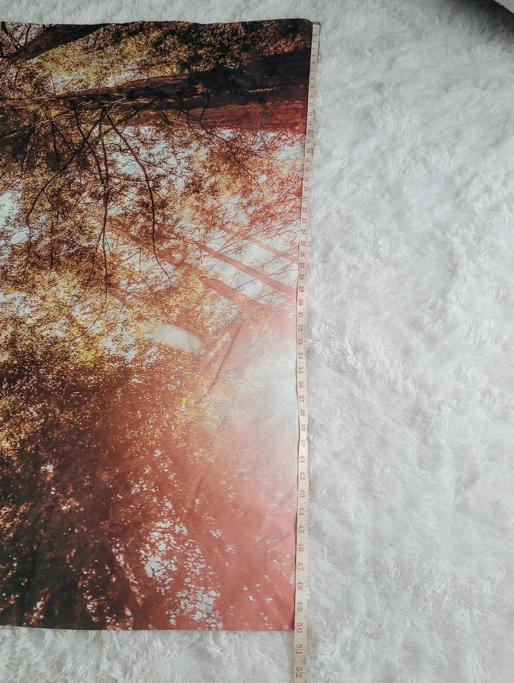 Forest Themed Tapestry | 50 Inches × 60 Inches | Society6